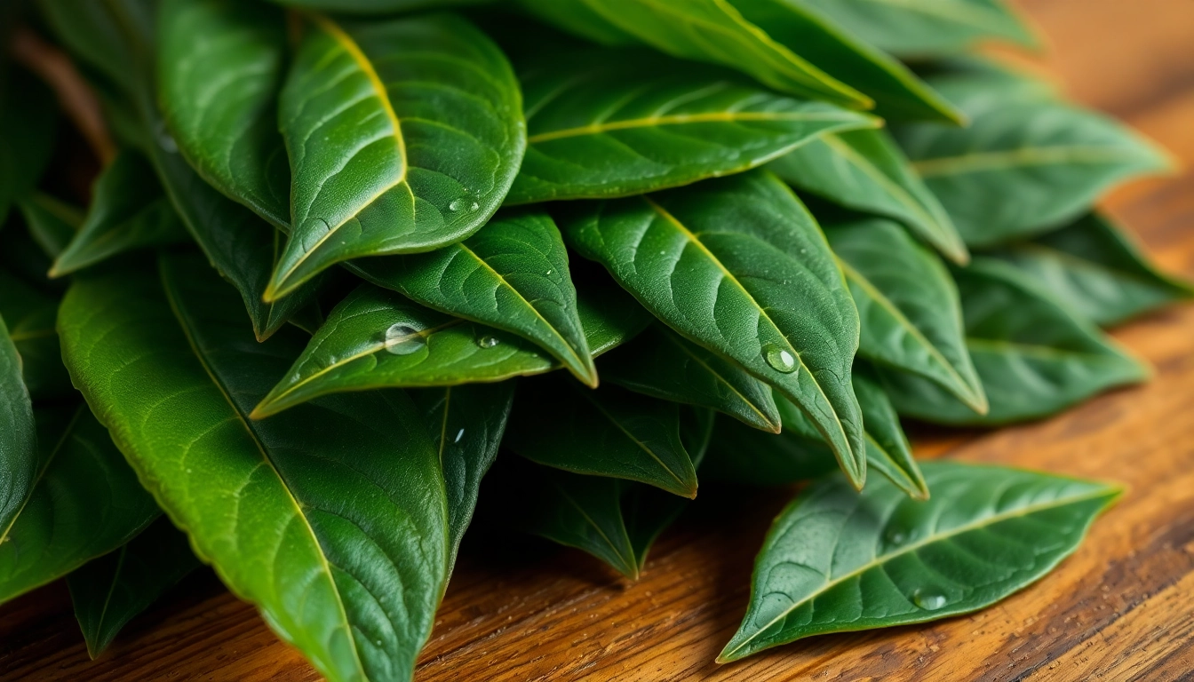 Boost Your Dishes with Premium Bay Leaves: A Complete Guide to Quality and Usage