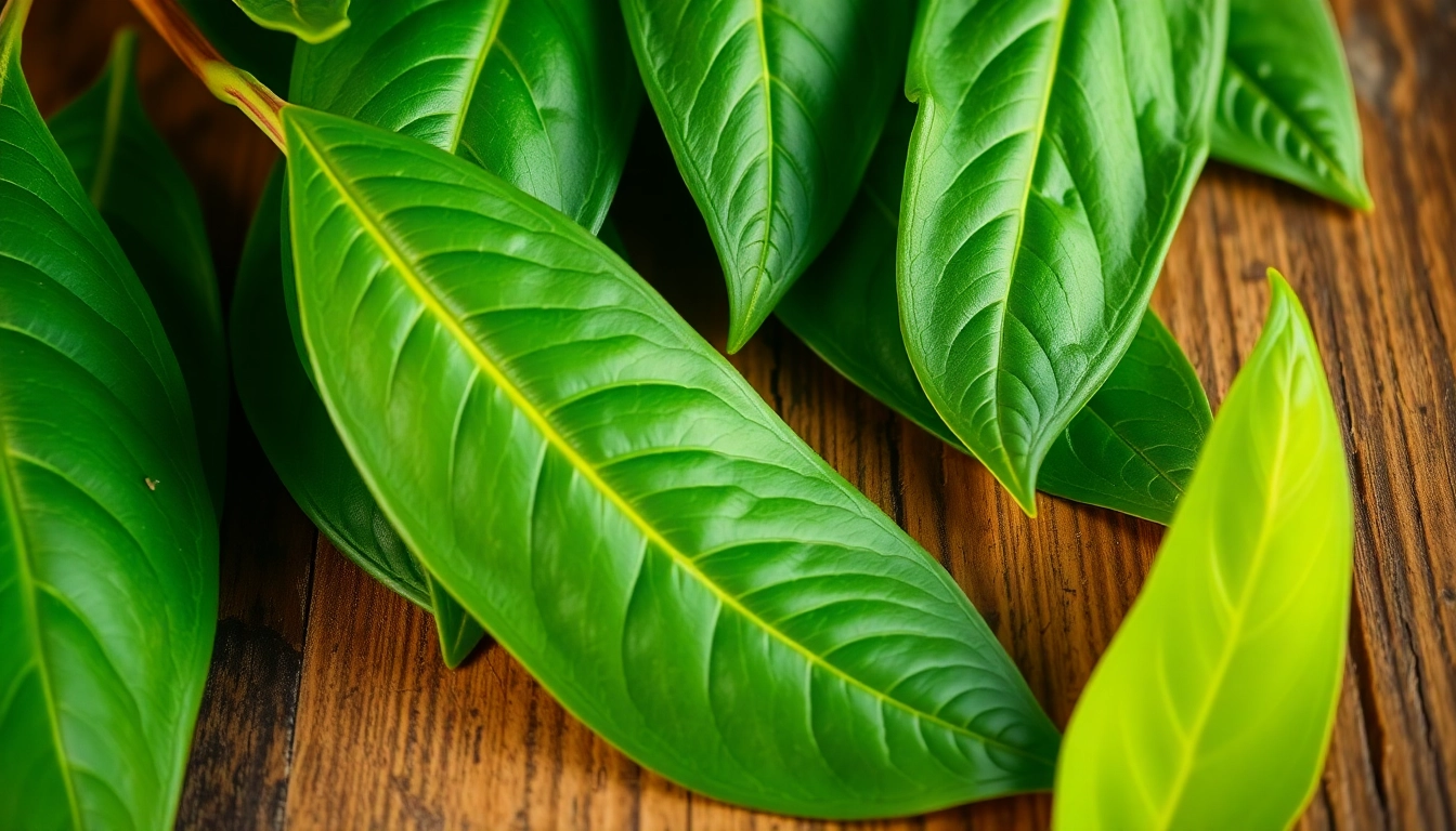 Elevate Your Dishes with Premium Bay Leaves: Quality & Authenticity Guaranteed